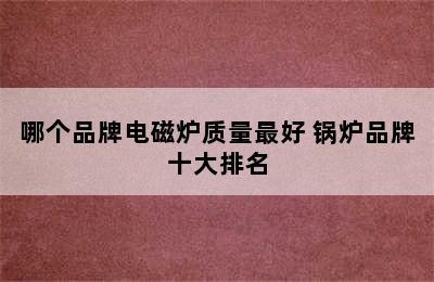 哪个品牌电磁炉质量最好 锅炉品牌十大排名